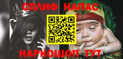 индика Камышлов