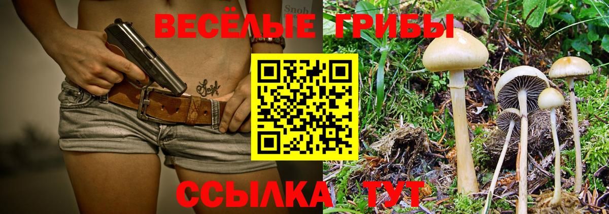 Кыштым  Галлюциногенные грибы прущие грибы  Галлюциногенные грибы MAGIC MUSHROOMS  Вход с VPN 
