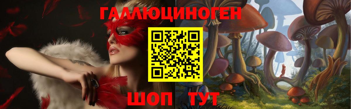 Псилоцибиновые грибы мицелий Кыштым